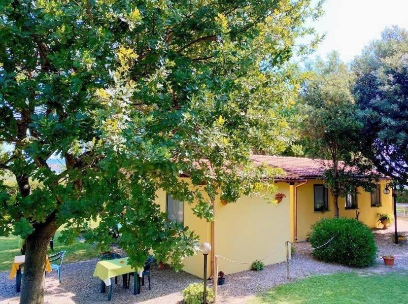 Bed and Breakfast Il Melarancio Pescia Romana Exterior foto